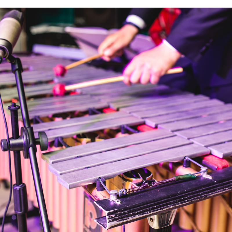 Explore an Instrument: Marimba